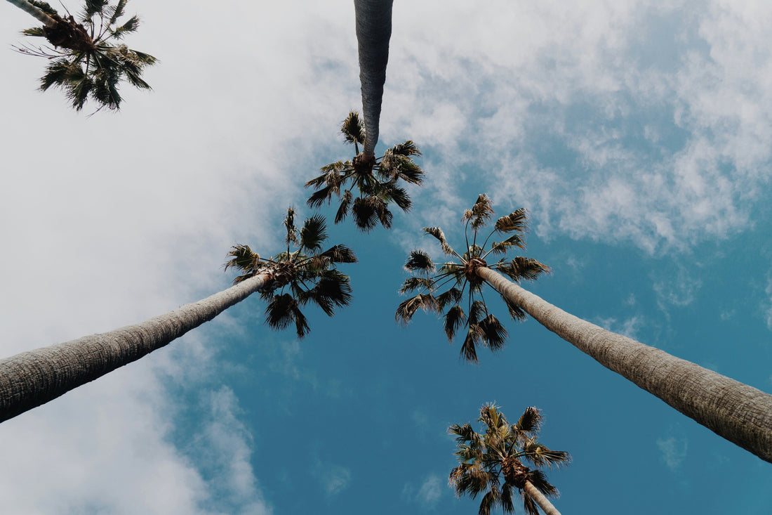 5 things to do in Hermosa Beach